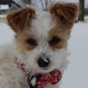 Meet your Posher, Aoife